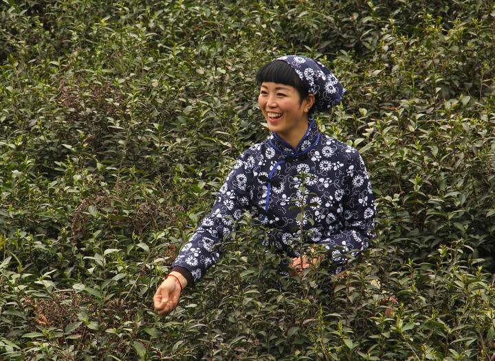 霓虹魅影